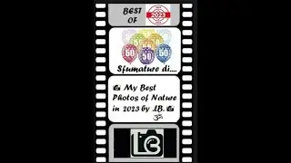 50 Sfumature di… 📸 My Best Photos of Nature in 2023 by .LB. 📸.