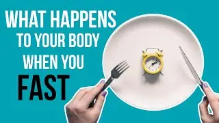 What Happens To Your Body When You Fast