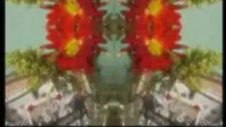 Saccharin Vision