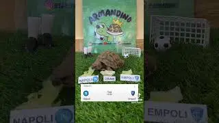 ⚪️NAPOLI VS EMPOLI🔵 #calcio #turtle #fantacalcio #empoli #napoli #highlights #seriea #dazn