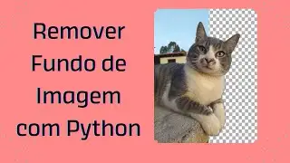 Remover Fundo de Imagem com Python (rembg e PIL)