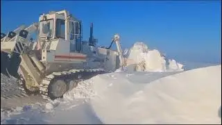 21 февраля 2024 г.
