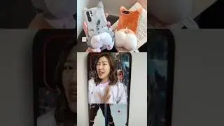 BENTUK CASE HP TERNYENTRIK YANG ADA DI DUNIA