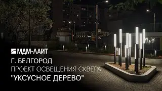 🌿ЛАНДШАФТНОЕ ОСВЕЩЕНИЕ для сквера в центре БЕЛГОРОДА
