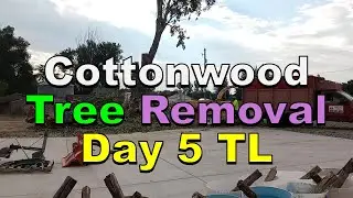 No. 1253 – Tree Removal Day Five Time Lapse