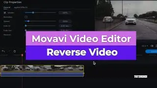 Reverse Video In Movavi - Movavi Video Editor Plus 2020  #22