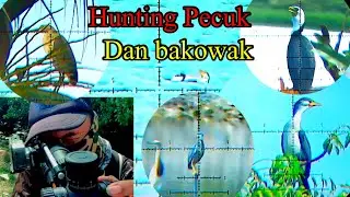 Hunting Pecuk dan bakowak
