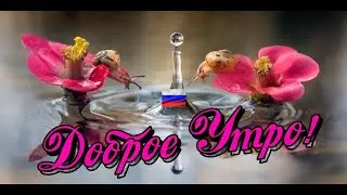 ДОБРОЕ УТРО Пусть утро будет нежным а день прекрасным Красивое пожелание с добрым утром
