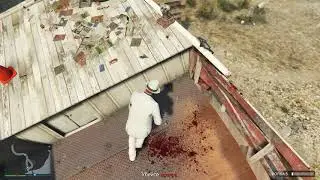 Grand Theft Auto Online - Ребёнок Мулата и Снежка!