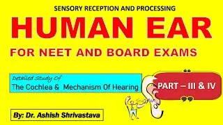 HUMAN EAR PART III & IV | SENSORY RECEPTION AND PROCESSING | NEURAL CONTROL AND COORDINATION || NEET