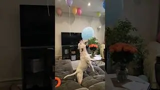 Праздник для всех 🥳😂