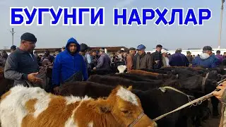ГУНОЖИН НАРХЛАРИ КАРШИ КАРВОН МОЛ БОЗОРИДА 12.11.2023