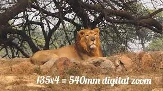 How to use digital zoom in a DSLR