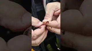 #правильно насадить червяка на крючок