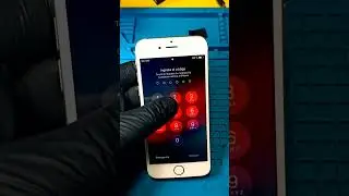 iPhone 6 no funciona táctil, sin touch