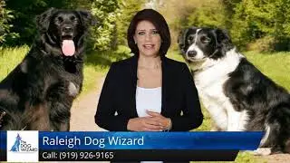 The Dog Wizard Raleigh Review Michael Hobbs Cary NC (919) 926-9165