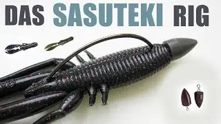 Das SASUTEKI Rig - Ihr fischt im Heavy Cover? Kein Problem mit dem Sasuteki Rig
