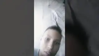 мемы