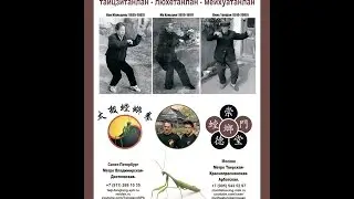 Система боя богомола