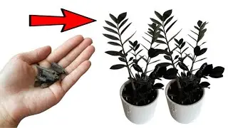 Do you know that?/Ты знаешь это?