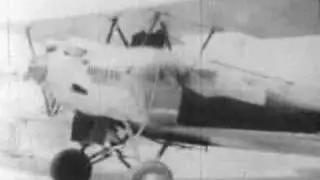 The Besler Steam Plane