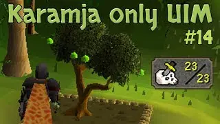 Karamja Only UIM - I Raked 2,430 times to Plant this (#14)