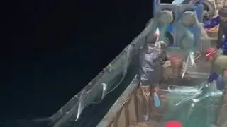 Another Fishing Voyage with a Full Load # Sailing Out # Sea Seeker