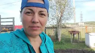 Выкопали весь картофель // Убрали морковь и свеклу на хранение
