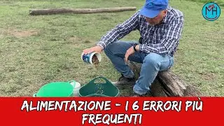 I 6 errori più frequenti nella alimentazione del cavallo