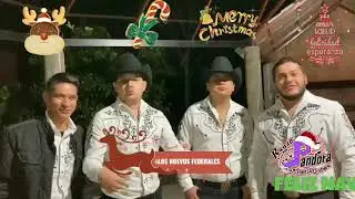 LOS NUEVOS FEDERALES
