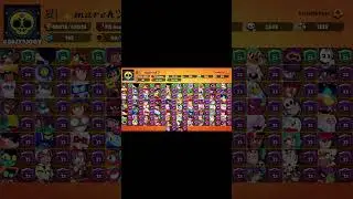 STATY NA 20.08.2024 W BRAWL STARS