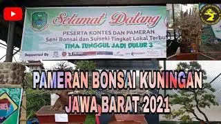 PAMERAN DAN KONTES BONSAI KUNINGAN JAWA BARAT 2021