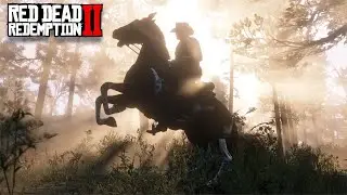 Red Dead Redemption 2 Fails and Funny Moments #1