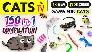 CAT TV - 150 in 1 Ultimate Compilation 🙀🐭🐝  Game for cats 🕚 10 HOURS 4K
