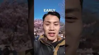 ITS BOOMING EARLY in JAPAN for Cherry Blossom! #shorts
