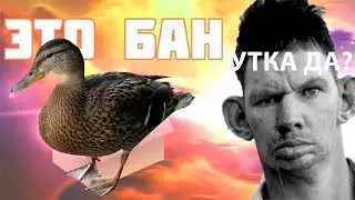 Самарский разгуляй обзванивает уток за 350