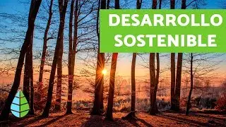 SUSTAINABLE DEVELOPMENT - Advantages and disadvantages of SUSTAINABLE DEVELOPMENT