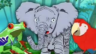 ANIMALS! | T-Rex, Sperm Whale, Cobra & More | KLT