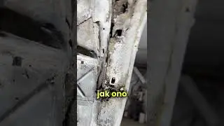 Mina od handlarza