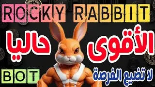 📌اقوى بوت حاليا Rocky rabbit 💪 لا تضيع فرصتك #rockyrabbit