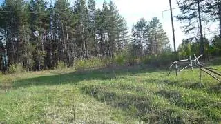Устьянский район