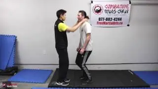 How to Knock Down Someone in a Short Range: Wingchun Technique