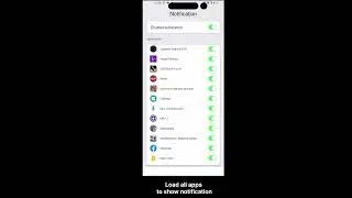 ACCESSIBILITY Permission on Dynamic island iOS 16