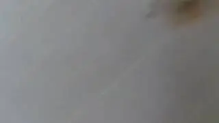 Это что за додики?