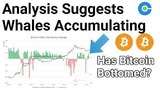 Has Bitcoin Bottomed? Analysis Suggests Whales Accumulating