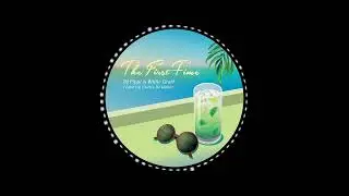 DJ Pippi & Willie Graff - The First Time (Cantoma Dub)