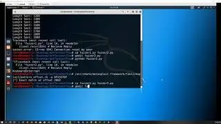 Let's Struggle with Rob: Buffer Overflow
