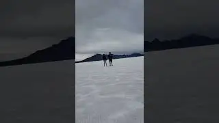 Penguins?