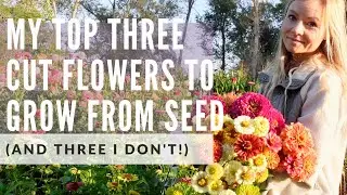 Easy cutting garden flowers to start from seed (and three I don't use for cuts)!