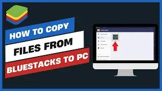 How to Copy Files From Bluestacks to PC
